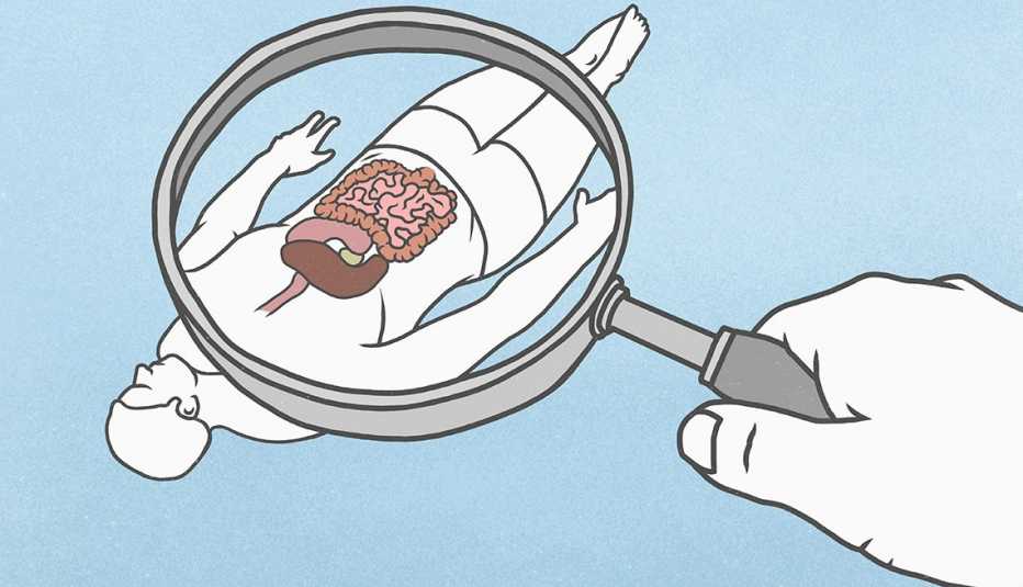 illustration of hand magnifying the gut