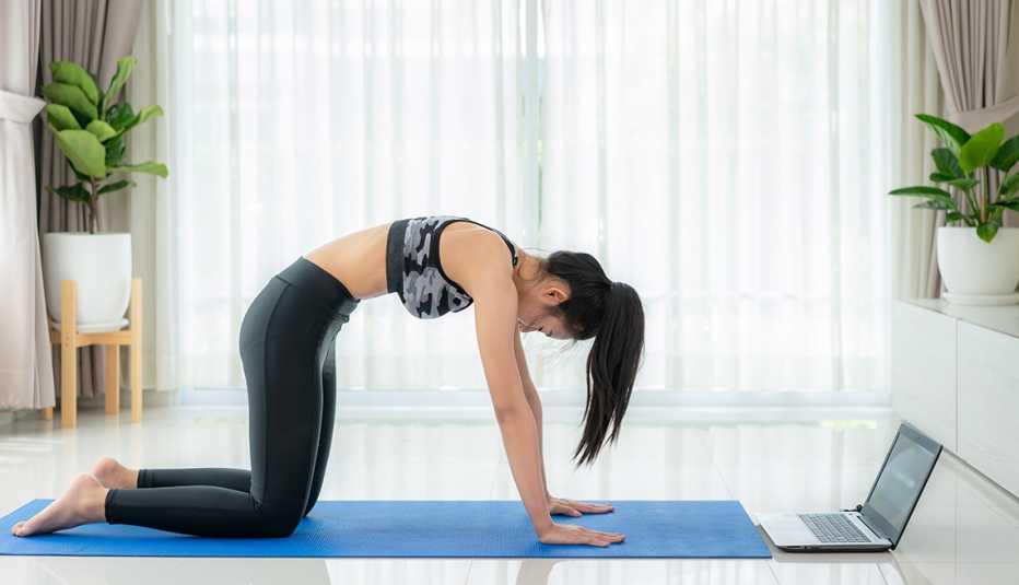 woman practicing indoor cat-cow yoga stretches