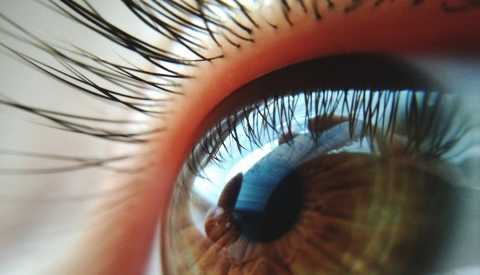close up of an eye and eyelashes
