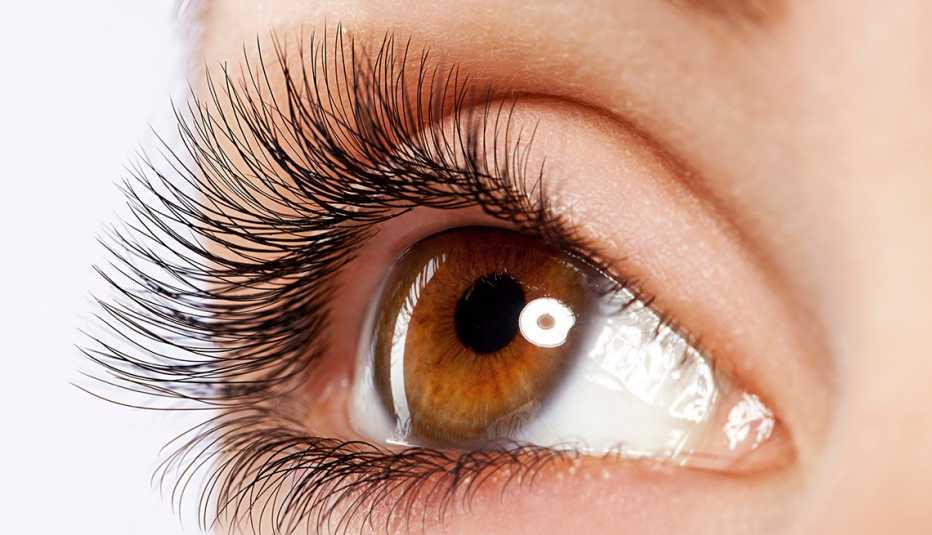 Close up of a woman's eye with fake eyelashes Close up of a woman's eye with fake eyelashes