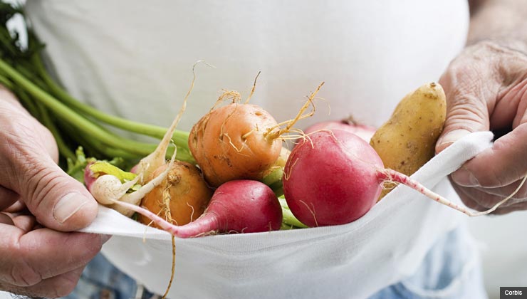 7. Myth: People with gout should avoid all proteins. Truth: Animal proteins have the highest levels of purines, so it’s better to eat vegetable protein like beans and peas, which may also help you lose weight.   In fact, a 2010 review in a rheumatology journal notes that protein rich foods like dairy products, nuts, beans, peas and whole grains are healthy choices for people with gout, reducing the risk of heart disease, and possibly lowering the risk of insulin resistance. For the 8 Myths About Gout slideshow.