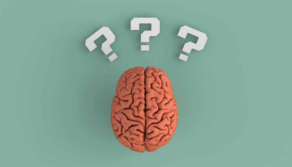 Brain With White Question Marks