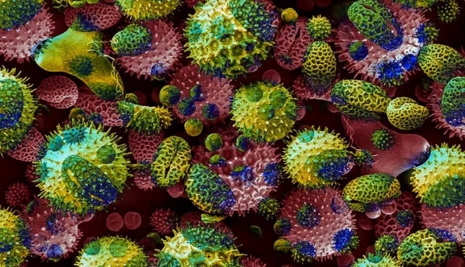 illustration of various covid virus cells