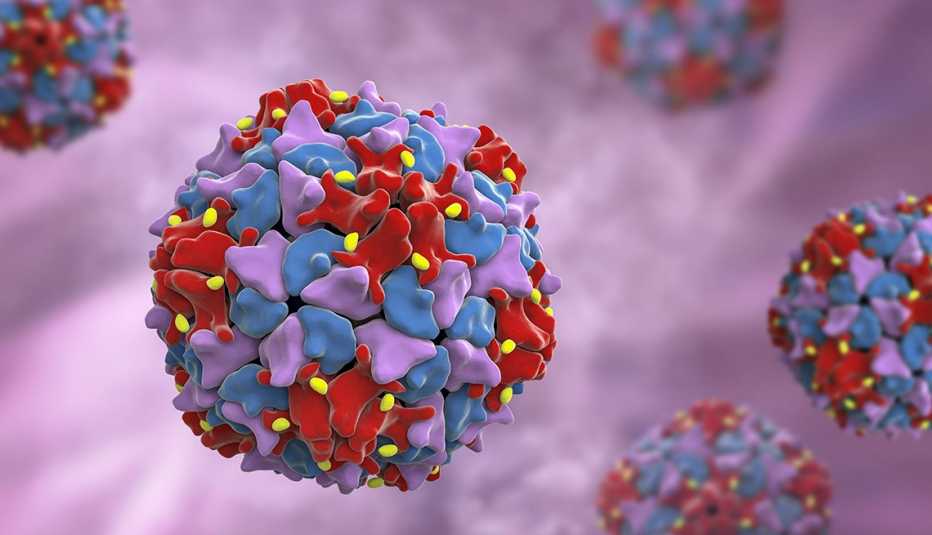 computer illustration of poliovirus particles computer illustration of poliovirus particles