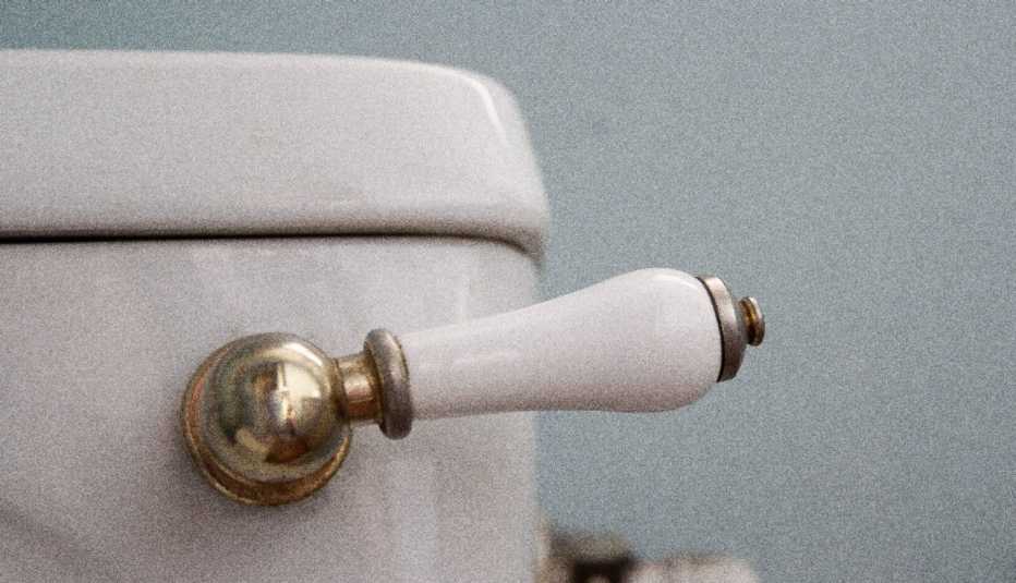 toilet flush handle