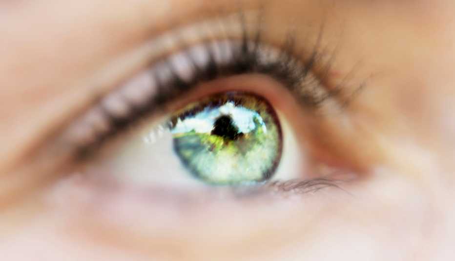 close up of a woman's bright green eye close up of a woman's bright green eye