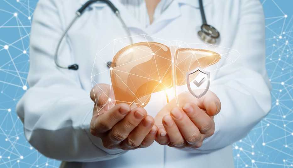 Doctor Showing Protected Human Liver