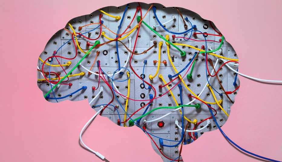Brain 