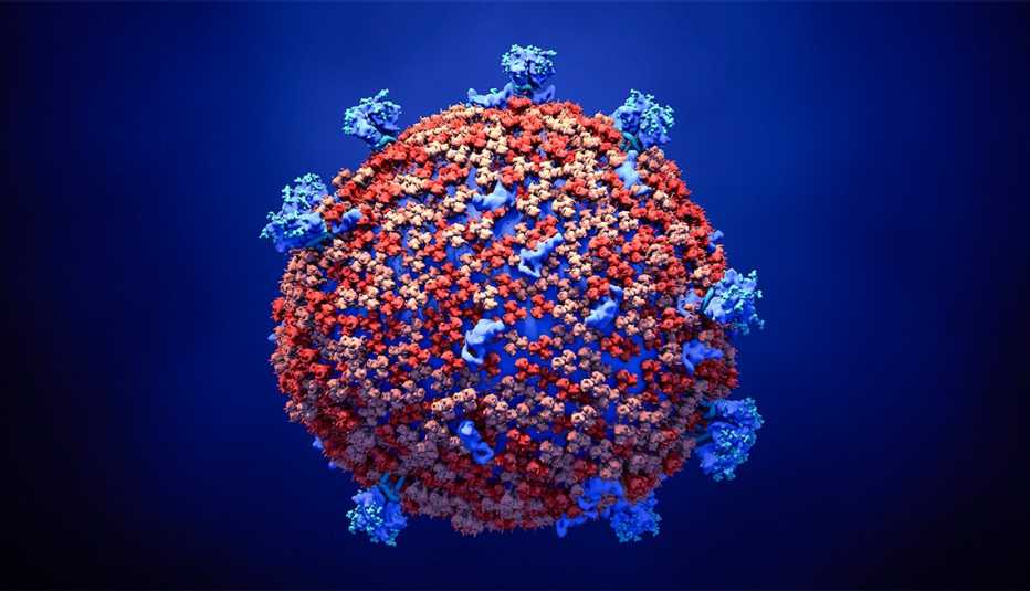 Illustration of a coronavirus particle. 