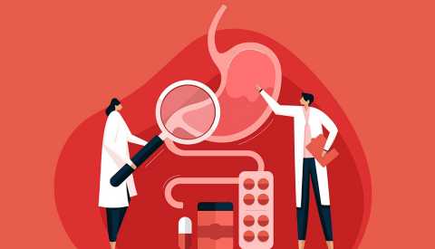 illustration of two GI doctors looking at a stomach being given heartburn medications under a magnifying glass on a red background illustration of two GI doctors looking at a stomach being given heartburn medications such as PPIs under a magnifying glass on a red background