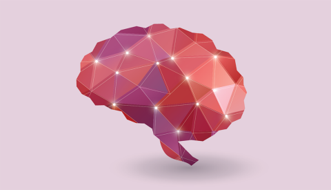 The Brain Health Resource Center offers tips, tools and explainers on brain health from AARP An illustration of a brain palette on a pink background