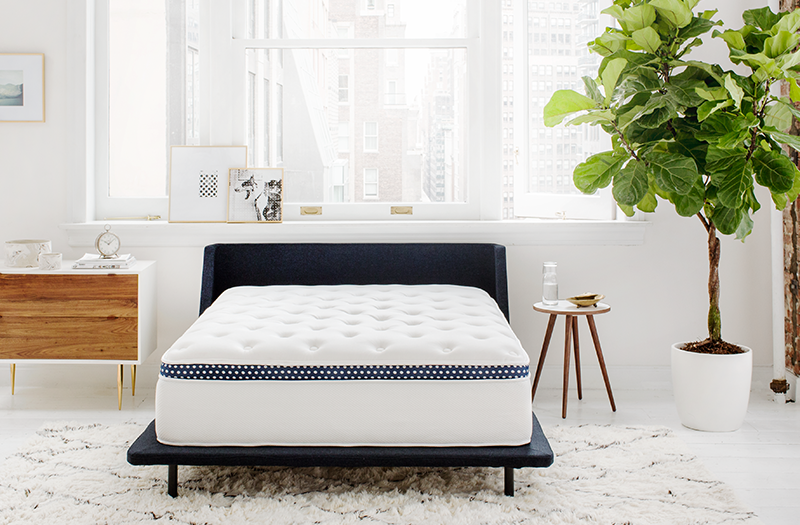 The WinkBed mattress in a bright white room with a plant beside it