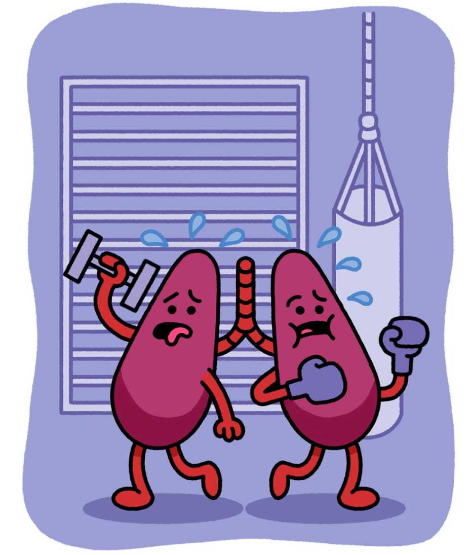 your Lungs- the busiest working organs cartoon of a pair of lungs working out and sweating in a gym