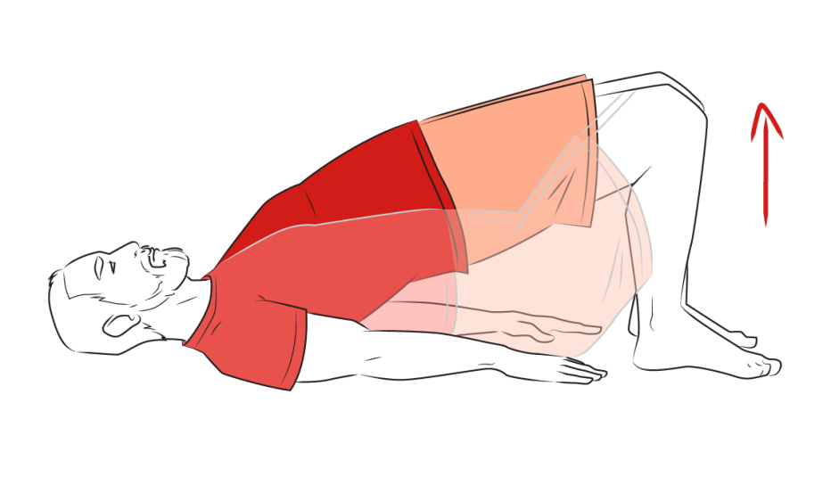 an illustration of a man performing a bridge exercise