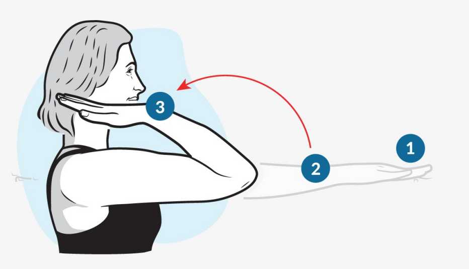 an illustration of an elbow flexion and extension exercise an illustration of an elbow flexion and extension exercise