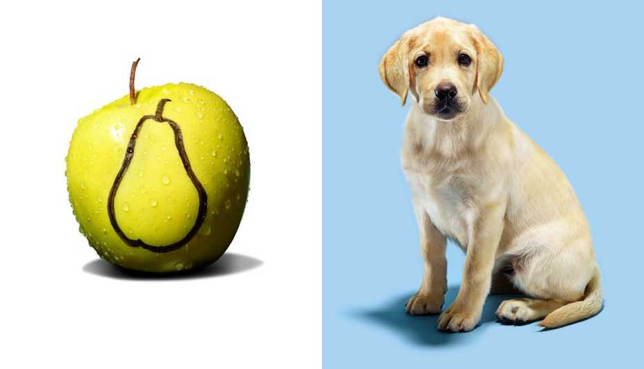 50 Tips: 10 Best Ways to Beat Obesity 