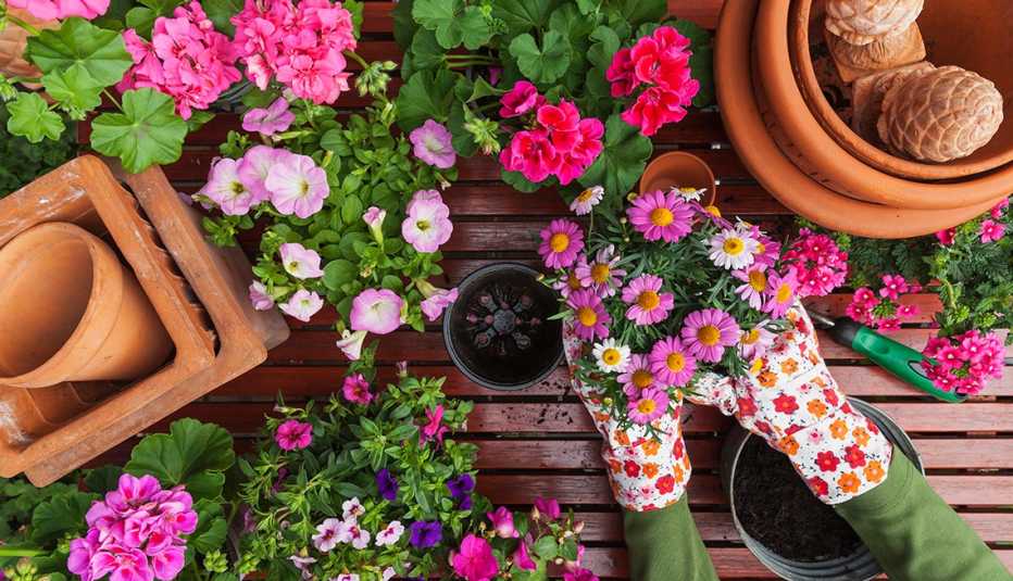 a person planting flowers in a flower pot