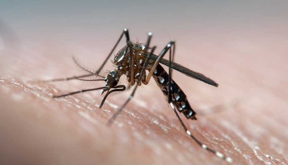 You Really Are Attracting Mosquitoes 