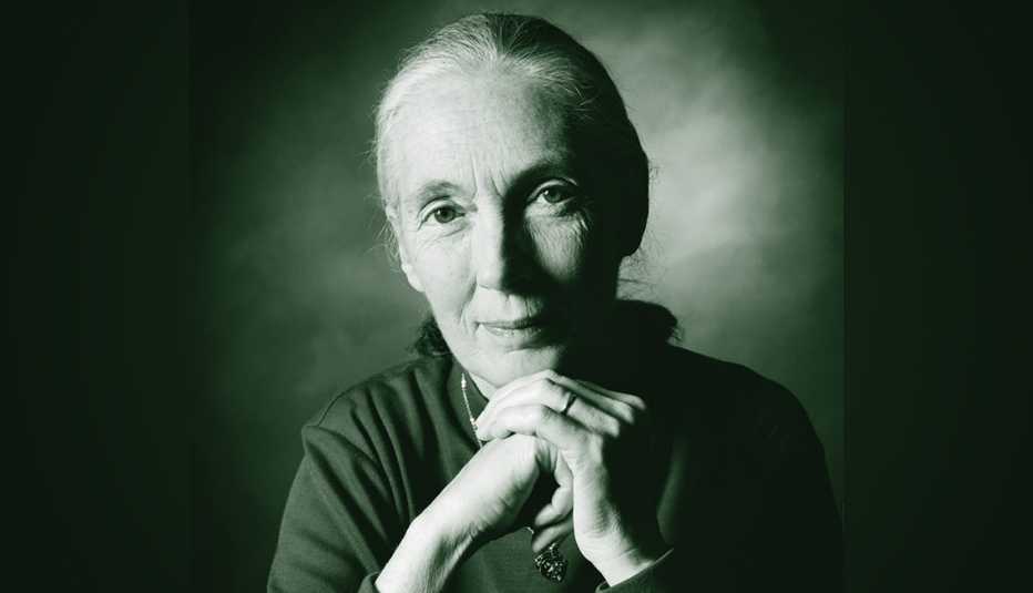 portrait of jane goodall