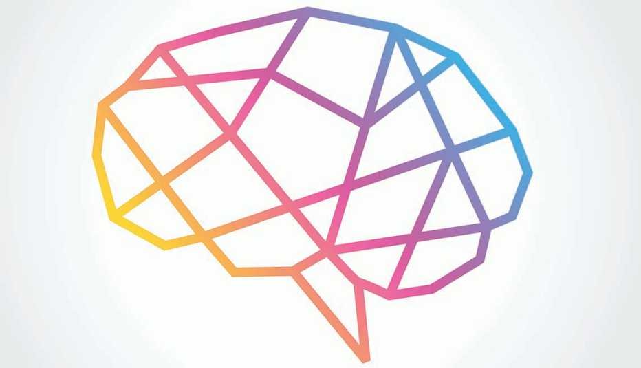 Brain illustration