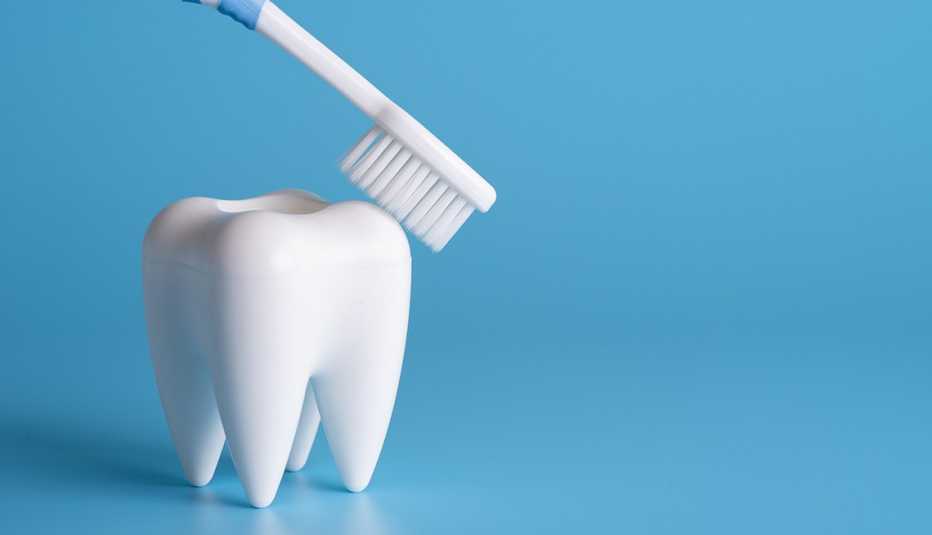large fake tooth with toothbrush brushing down on it