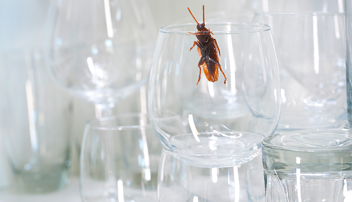 7 Surprising Hacks for a Bug-Free Kitchen