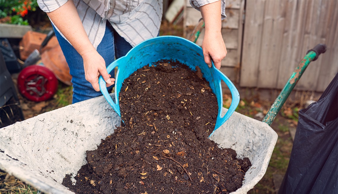A woman tipping compost from a bucket into a wheelbarrow in her garden. A woman tipping compost from a bucket into a wheelbarrow in her garden.