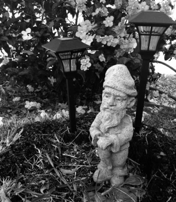 Part of Ostheim’s black and white series challenge.