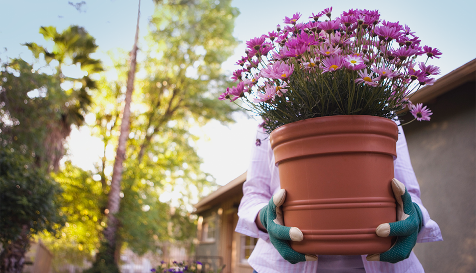 a gardener carrying a clay pot of flowers a gardener carrying a clay pot of flowers