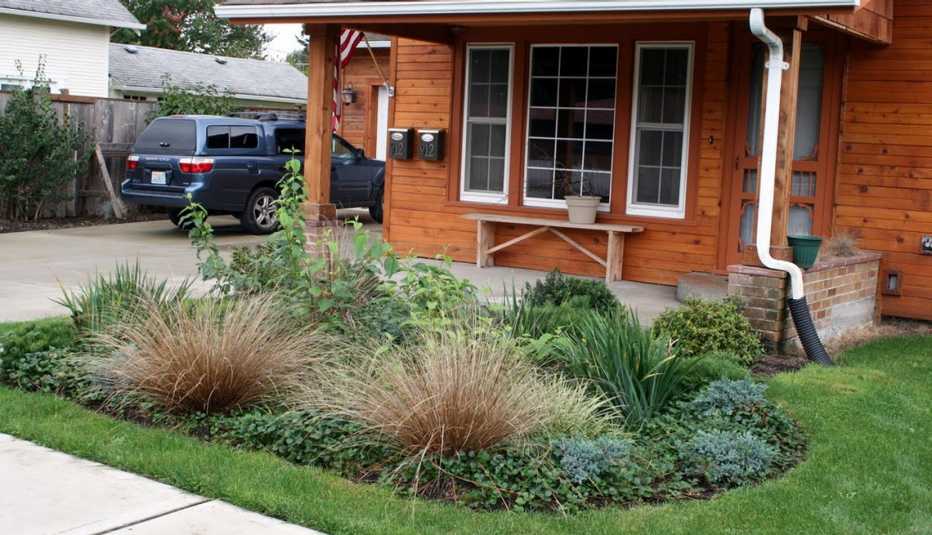 A rain garden in a front yard