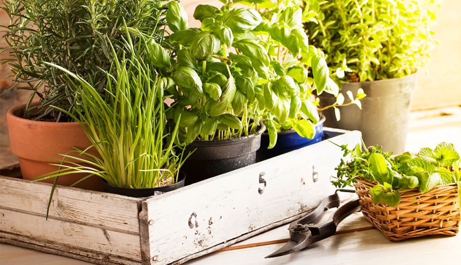 a basket containing various herbs in pots a basket containing various herbs in pots