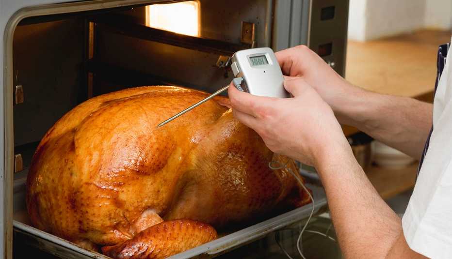 Checking turkey in oven with meat thermometer