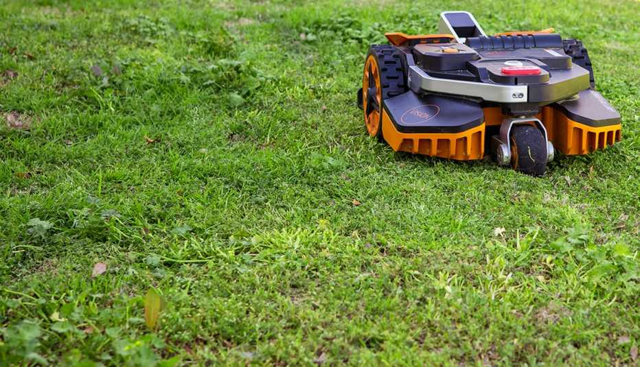 Chris Morris’ lawnbot in South Carolina Lawnbot on the grass