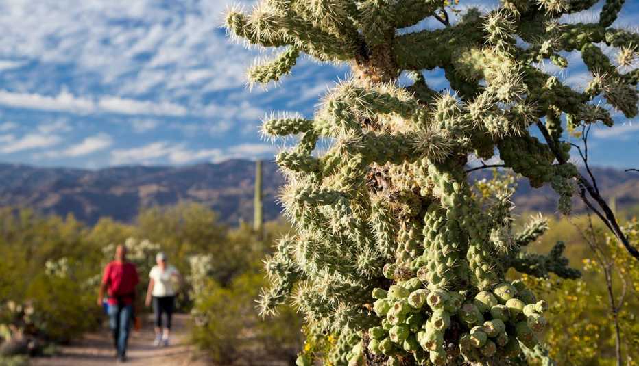 hikers walking down a trail