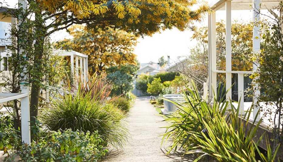 pathway lined with shrubs in row of tiny home cottages