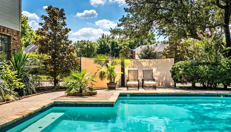 outdoor pool surrounded by trees and plants under sunny sky