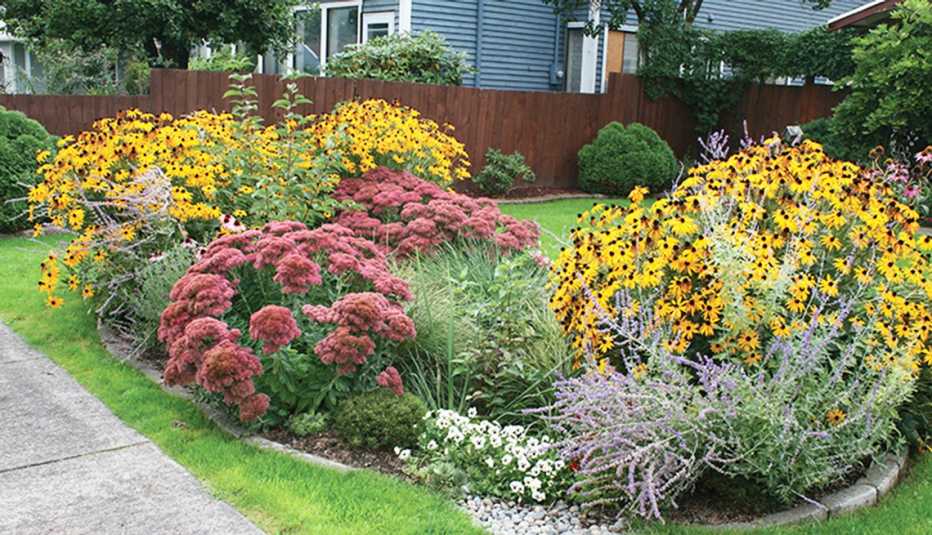 A rain garden