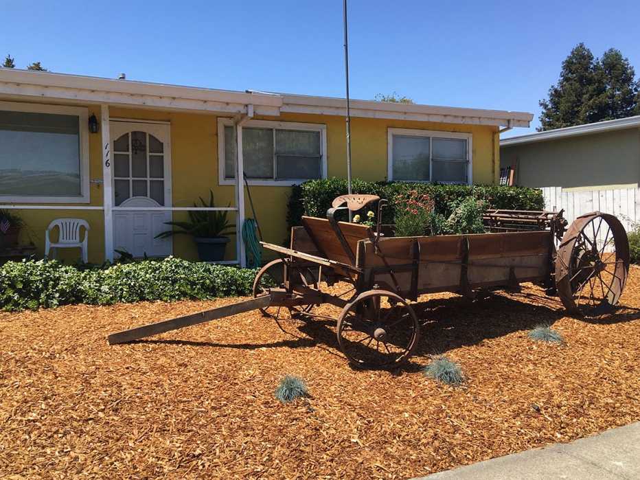 mulch in a front yard