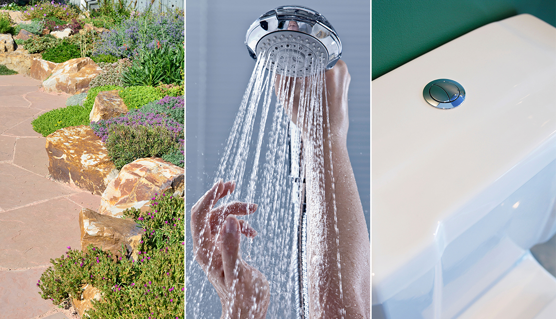 a hardscaped yard area with drought friendly plants a pair of hands holding shower head and a dual-flush toilet cistern