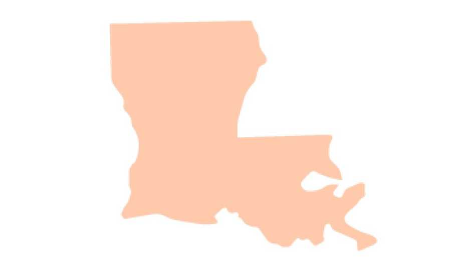 Image of the state of Louisiana