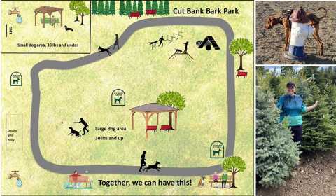 An illustration of the Cut Bank City Bark Park site plan, a dog at a fire hydrant, and a woman poses with pine tree plants