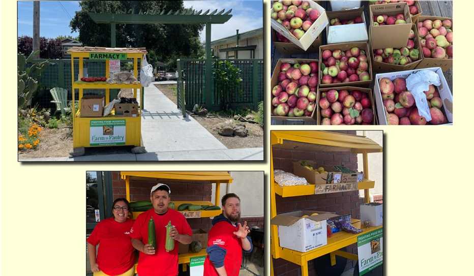 Stocking Farmacy’ Carts with Fresh Food in Sonoma County, California 