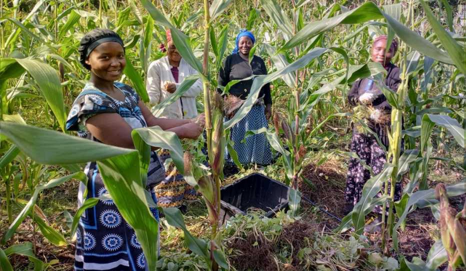 Women from Burundi pose in a farm field near their new homes in New Hampshire