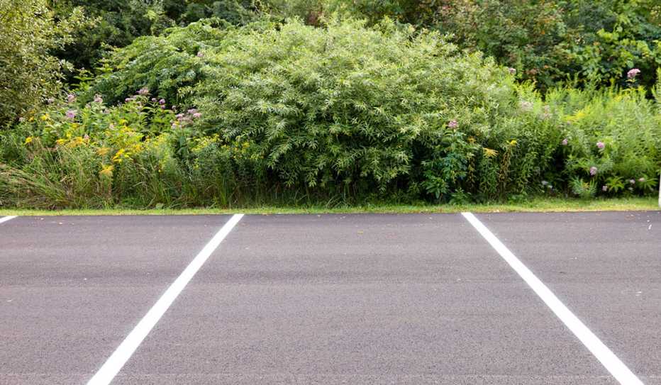 An empty parking lot An empty parking lot