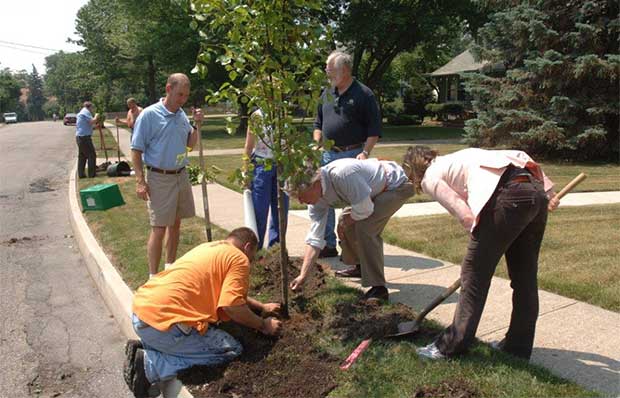 620-DM-PlantingTrees.jpg