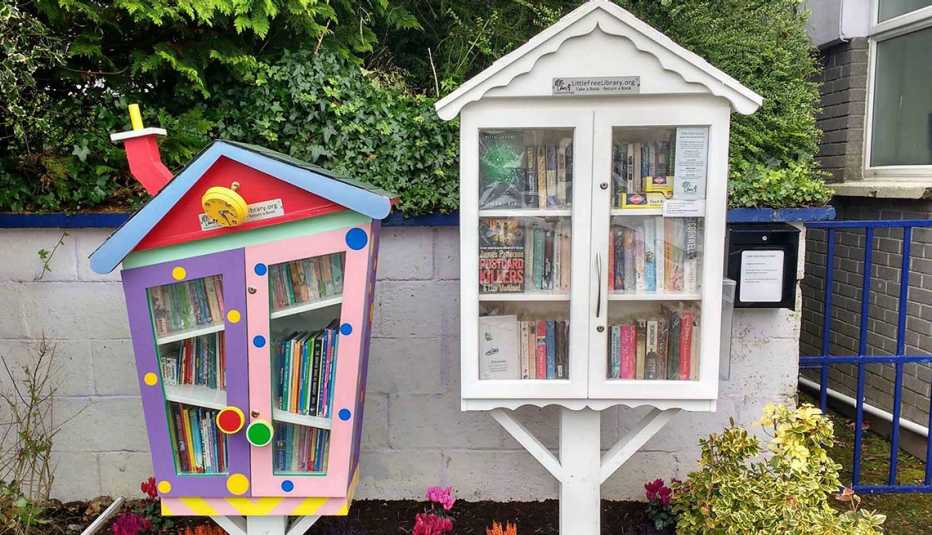 Two house-like Little Free Libraries, one colorful, one all-white, stand as neighbors.