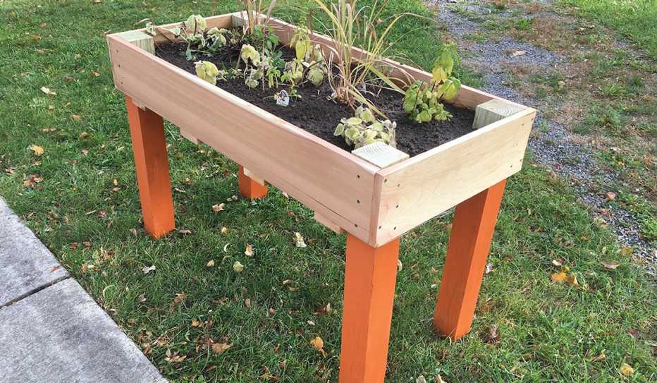 An example of a raised bed garden