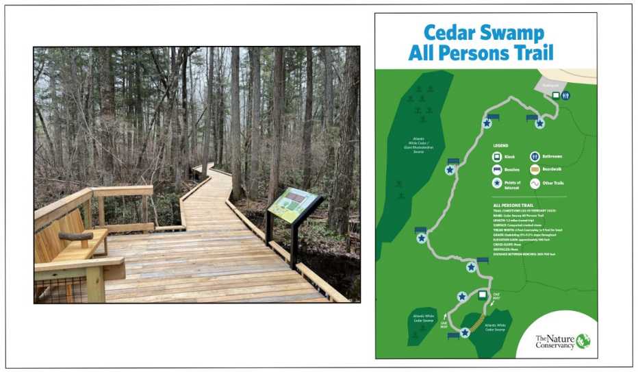 An elevated boardwalk allows visitors to move through the swampiest part of the Cedar Swamp. Benches are located every 300 to 700 feet along the trail.