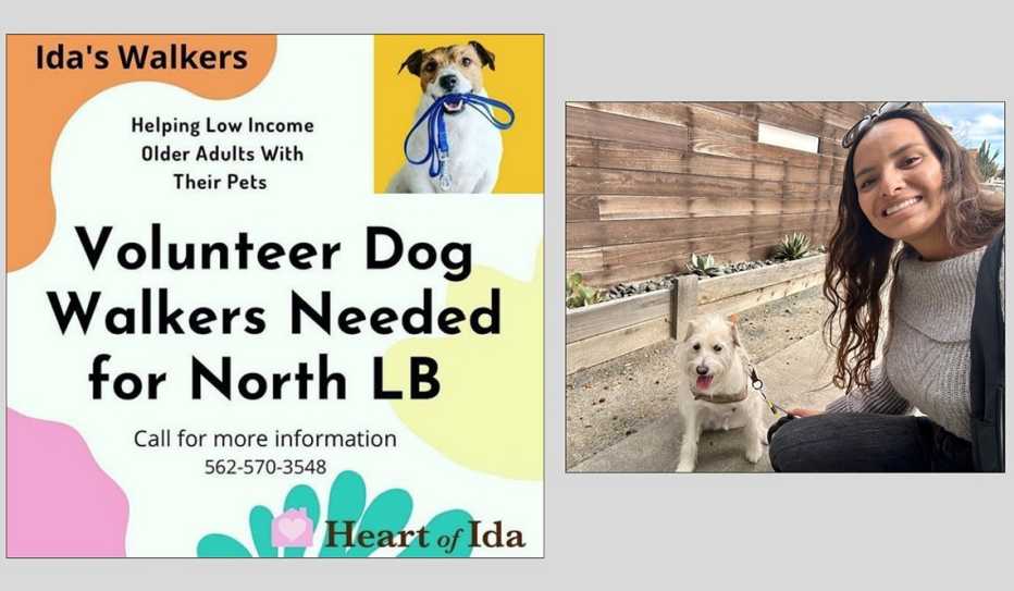 Walking Dogs in Long Beach, California