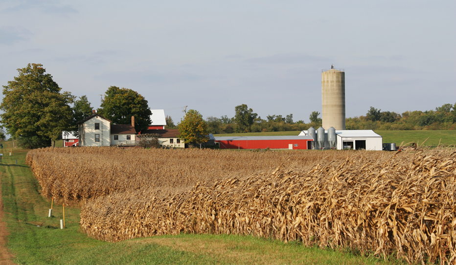 Rural farm in Urbana